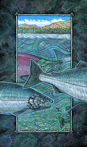 Sockeye Illustration