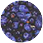 Food Guide icon
