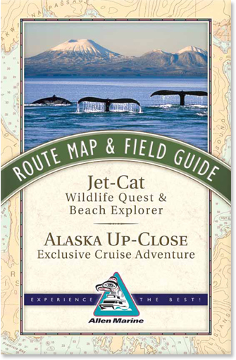 Sitka route map